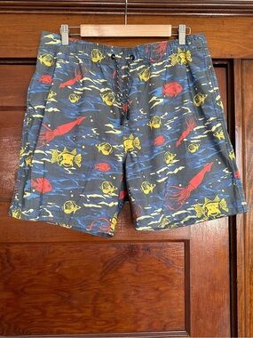 Toad&Co Men's Boundless Pull-On Shorts Large Sea Blue Fish Print Board-shorts